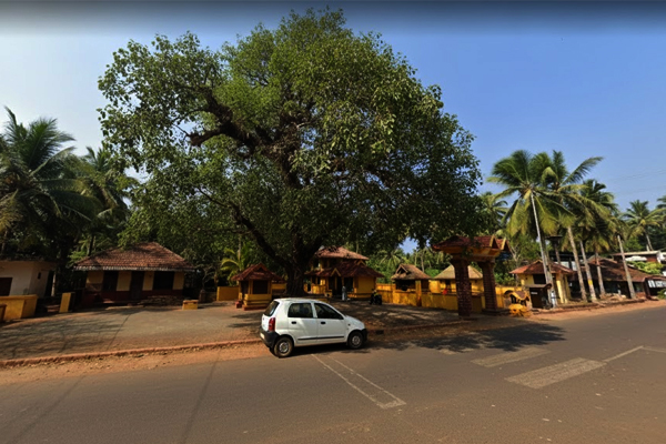 Book Shelf Representational Image