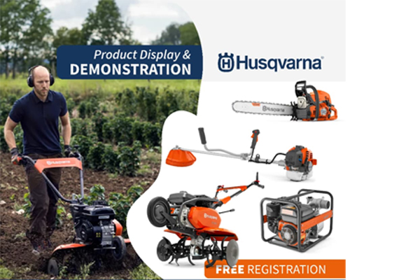 Book Shelf Representational Image