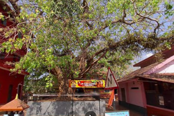Kottacheri Kunnummal Vishnumoorthi Temple Kaliyatta Utsavam Thumbnail